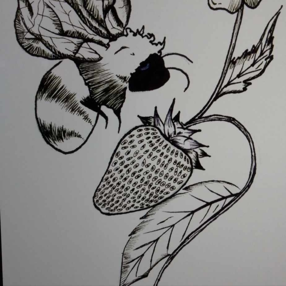 These are examples of artwork I have done. - Picture 5 of 16